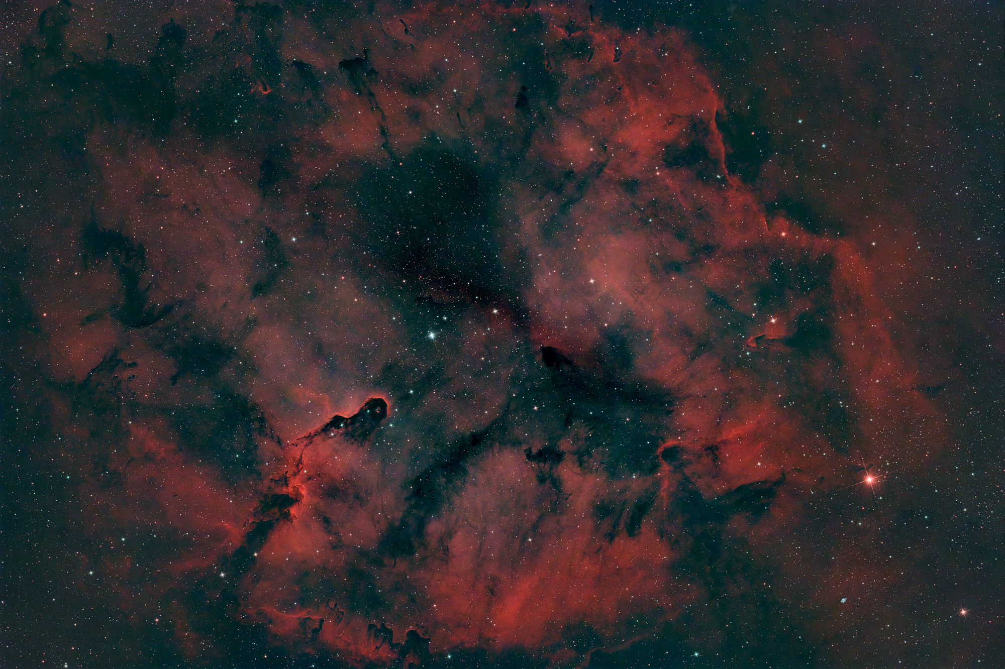 The Elephant's Trunk Nebula IC1396 is a concentration of interstellar gas and dust within the much larger ionized gas region IC 1396 located in the constellation Cepheus about 2,400 light years away from Earth.